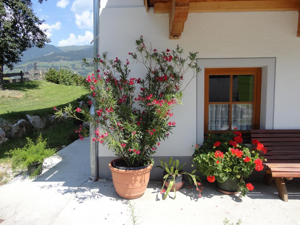 Landhaus Ganzer Niedernsill Habitación foto